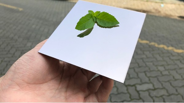 為什么彩色不銹鋼裝飾板會大受歡迎？